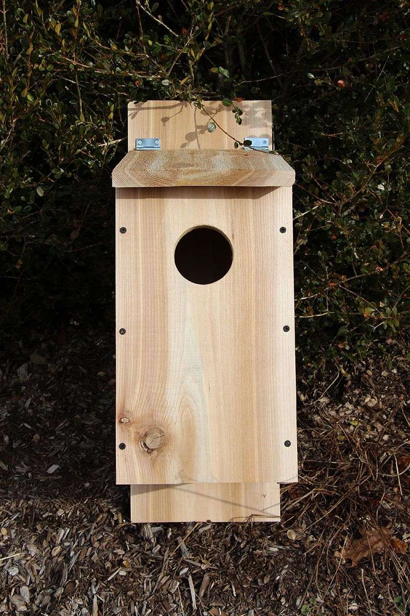 Keep Pets Away From The Nesting Area After Owls Move In