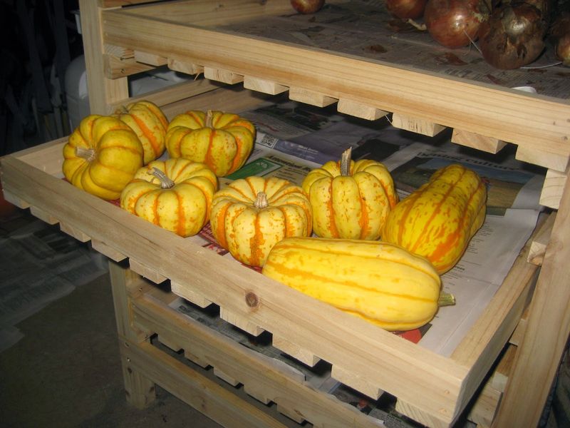 Keep Pumpkins Off Cold Floors Keep Pumpkins Off Cold Floors