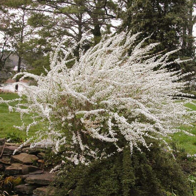 Keep Roots Hydrated During Dry Fall Weather
