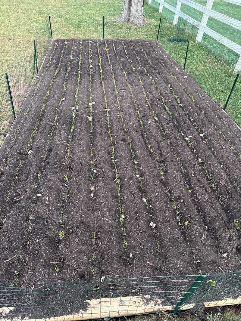 Keep Soil Covered Before Winter Rains Arrive Keep Soil Covered Before Winter Rains Arrive