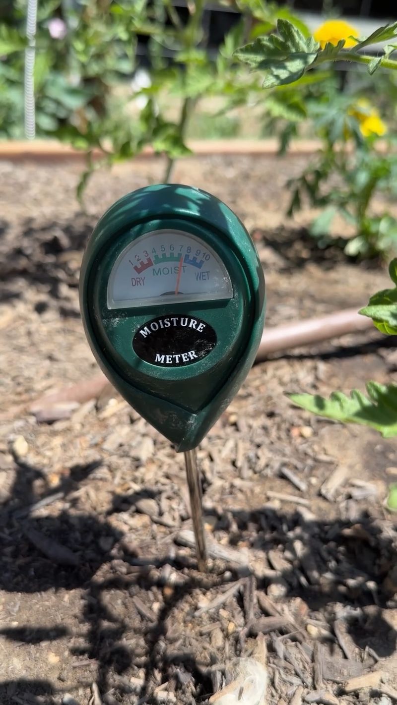 Keep Soil Moist But Not Saturated