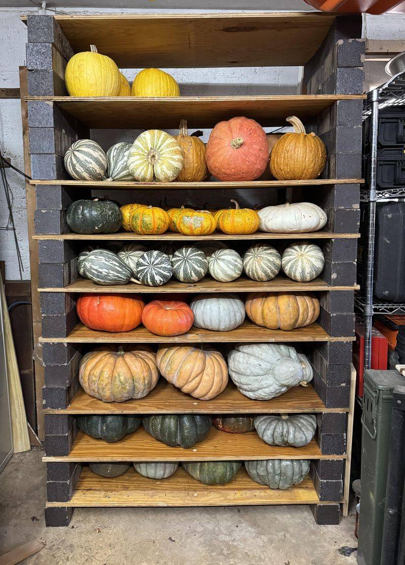 Keep Squash Off Cold Concrete Floors