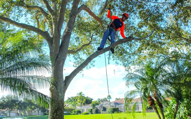 Keep Storm Pruning Focused On Real Hazards