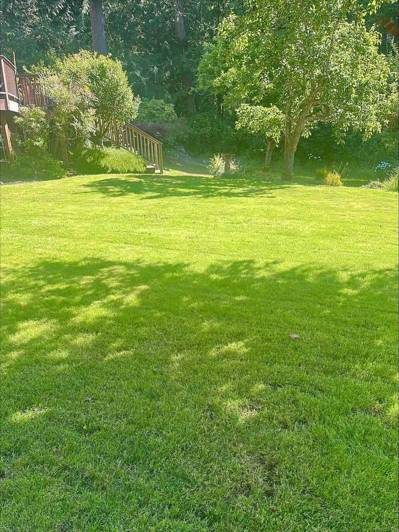 Keep The Final Mow At The Right Height