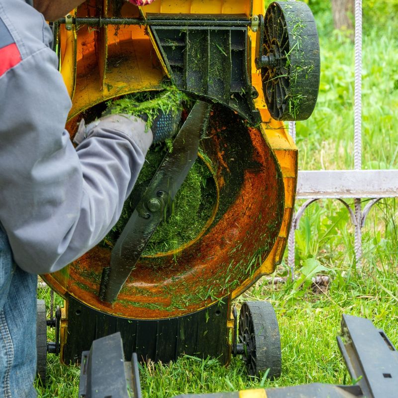 Keep The Mower Deck Clean Keep The Mower Deck Clean