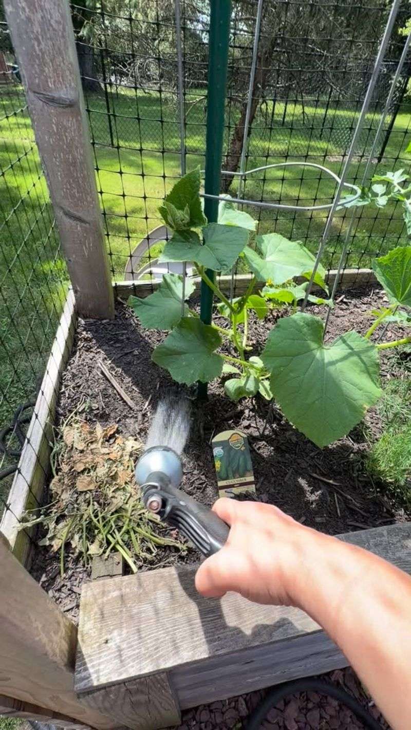 Keep The Seed Zone Consistently Moist Keep The Seed Zone Consistently Moist