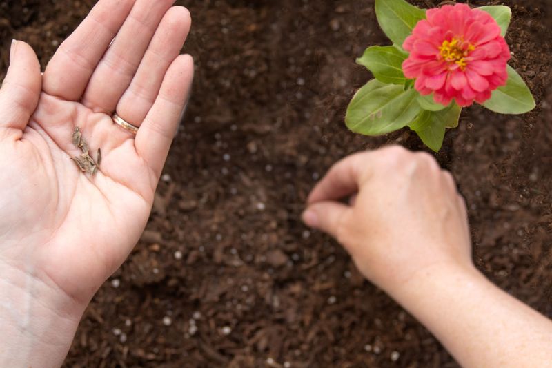 Keep The Soil Evenly Moist Keep The Soil Evenly Moist