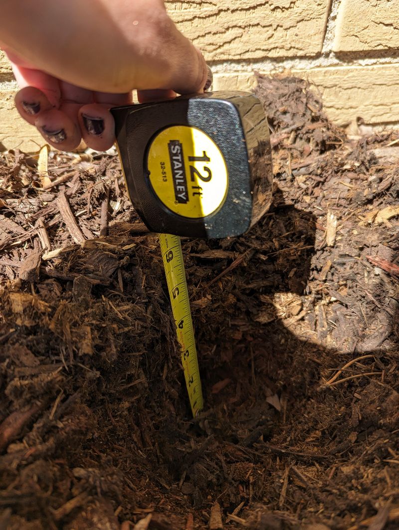 Keep The Total Mulch Layer At No More Than About 4 Inches Keep The Total Mulch Layer At No More Than About 4 Inches