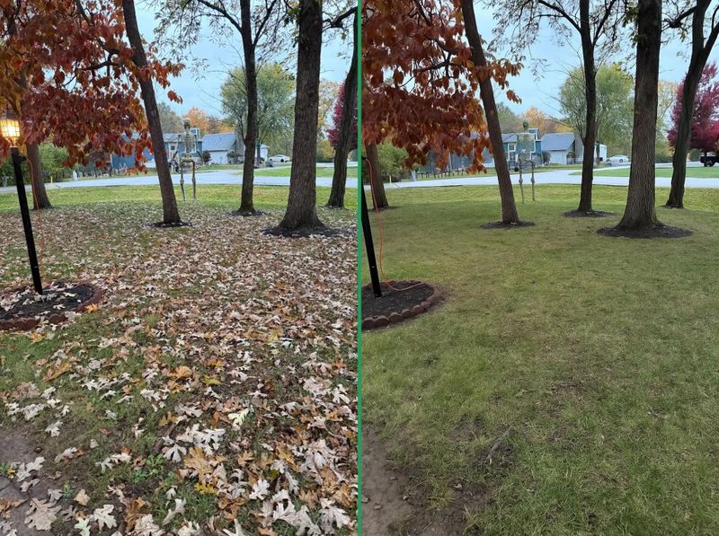 Keep Thick Leaf Layers Off The Lawn To Protect Healthy Turf