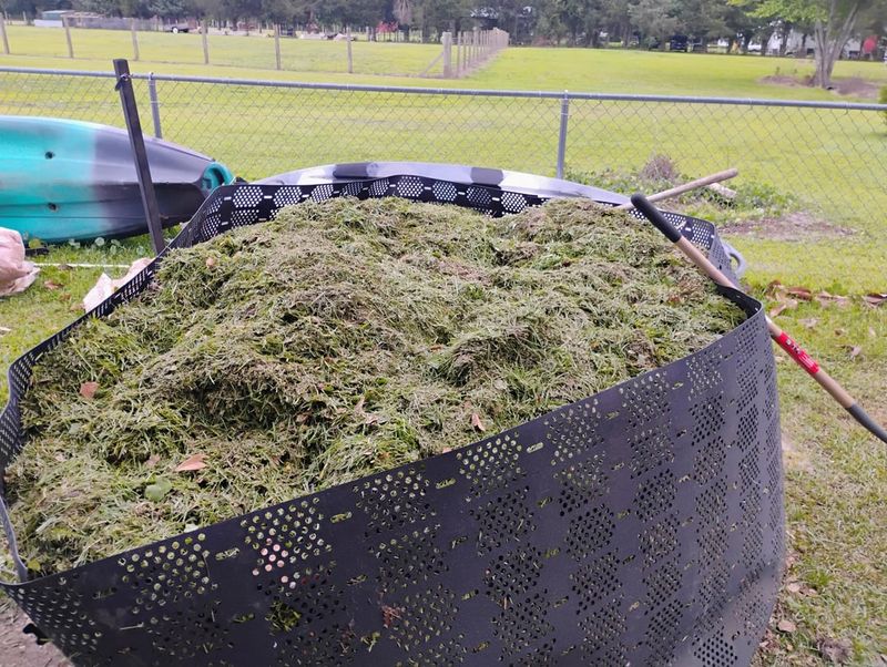 Keep Treated Grass Clippings Out