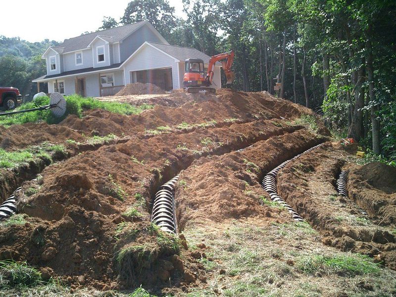 Keep Trees And Shrubs Completely Off The Drainfield Keep Trees And Shrubs Completely Off The Drainfield