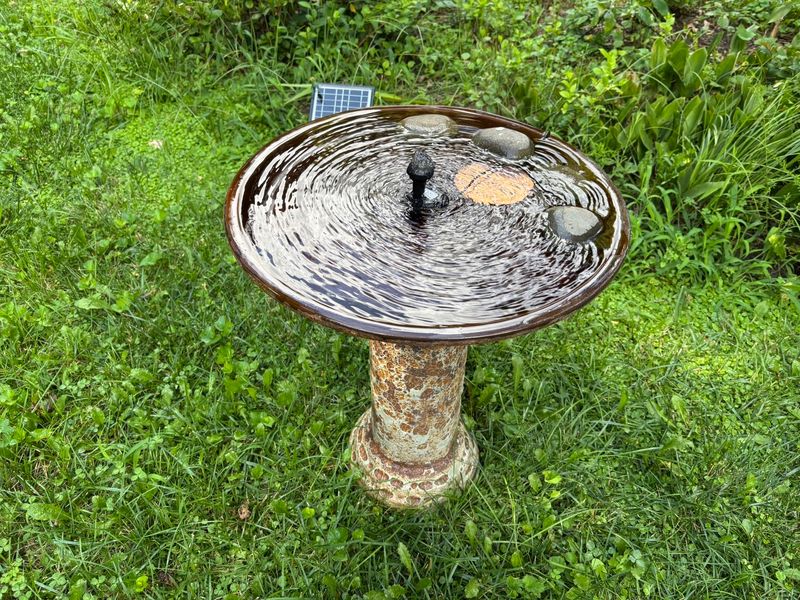 Keep Water Shallow And Place It Near Cover Keep Water Shallow And Place It Near Cover