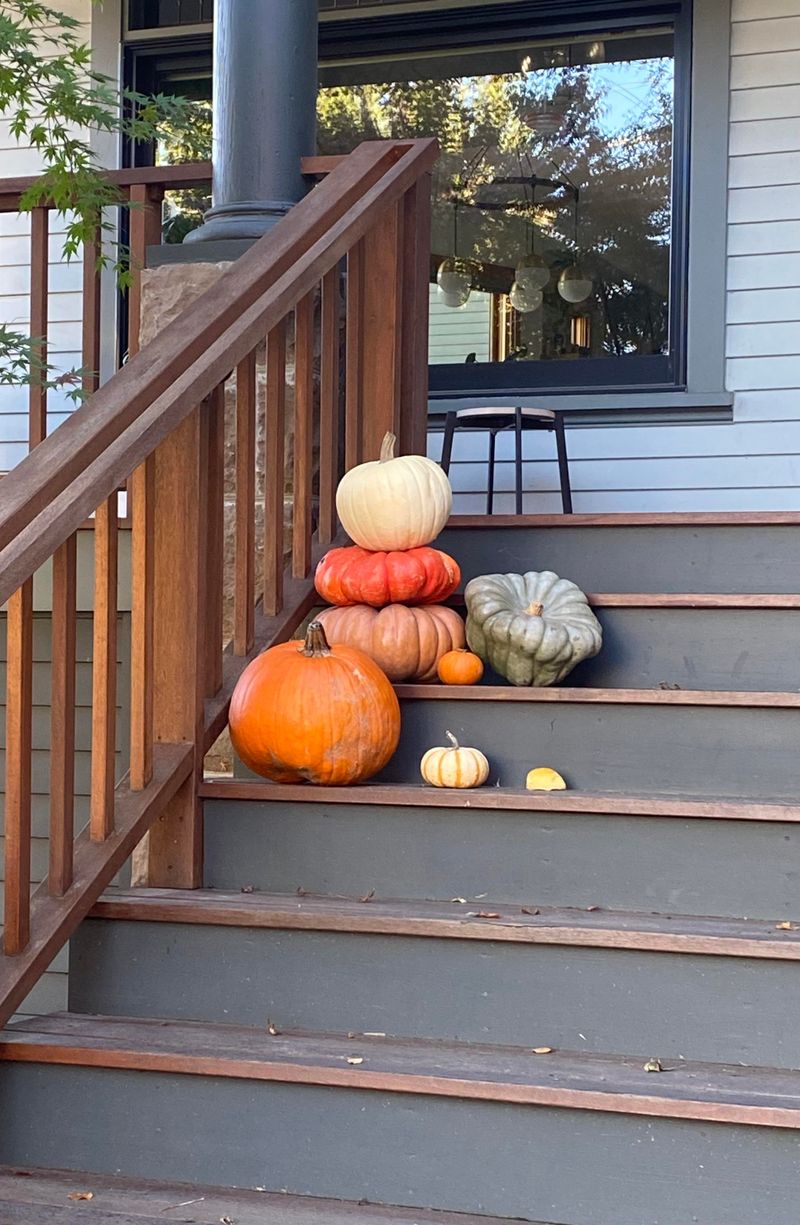 Keep Your Pumpkin Out Of The Hot Sun
