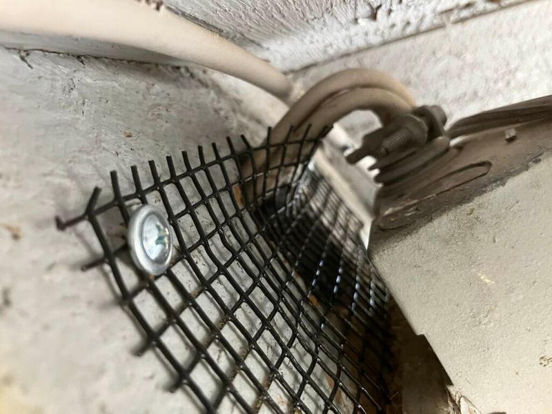 Keep an Integrated Rodent Plan in Place