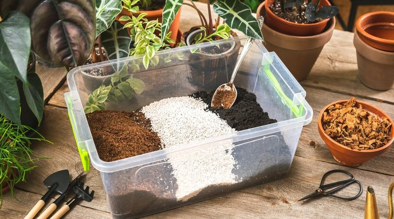 Keep roots healthy while buds develop
