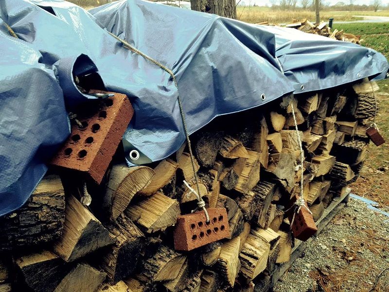 Keeping A Cluttered Yard And Weathered Woodpiles Keeping A Cluttered Yard And Weathered Woodpiles