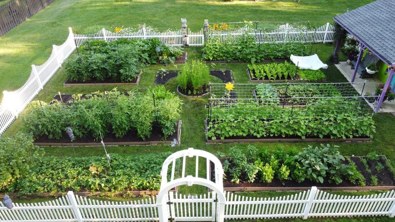 Kitchen Gardens Bring Fresh Food Closer To Home