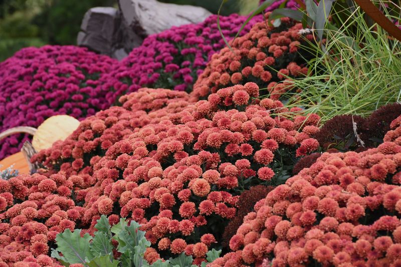 Know The Limits Of Fall Planting