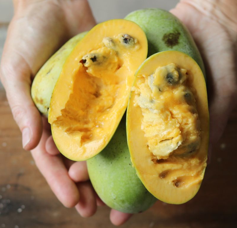 Know The Signs Of A Perfectly Ripe Pawpaw Know The Signs Of A Perfectly Ripe Pawpaw