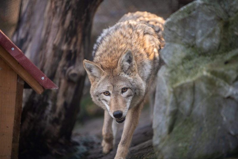 Know When A Sighting Is Concerning