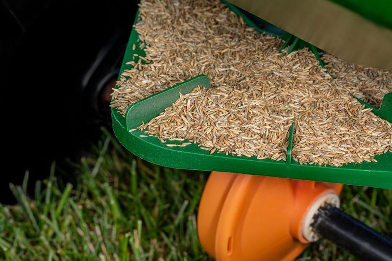 Know When Late Seeding Still Works Know When Late Seeding Still Works