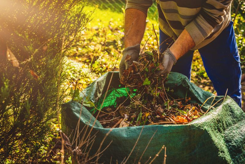 Know Which Yard Waste Belongs In The Trash Know Which Yard Waste Belongs In The Trash