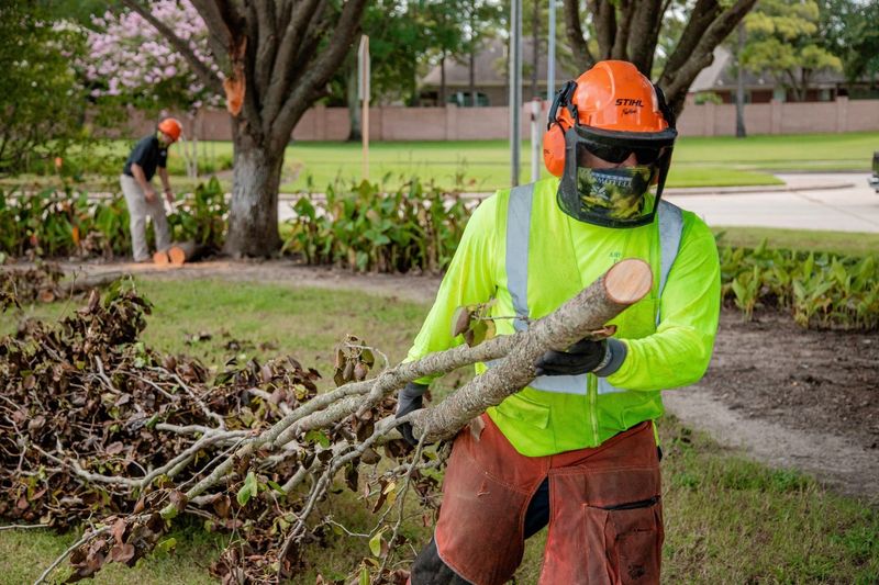 Know Why Some Pruning Requests Get Denied