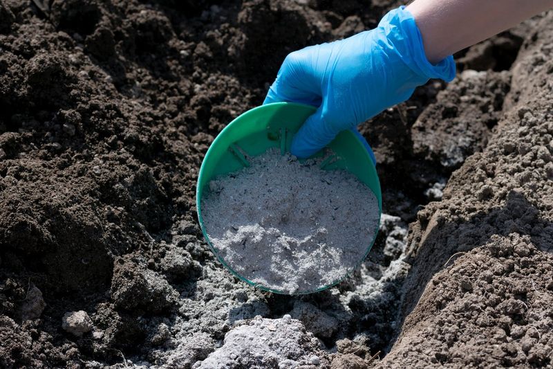 Know Your Soil Before You Spread Anything Know Your Soil Before You Spread Anything