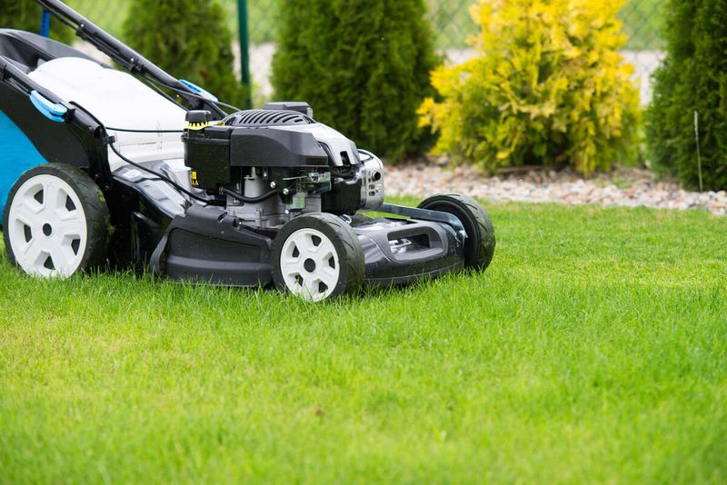 Knowing Your Final Mow Day In New York Knowing Your Final Mow Day In New York