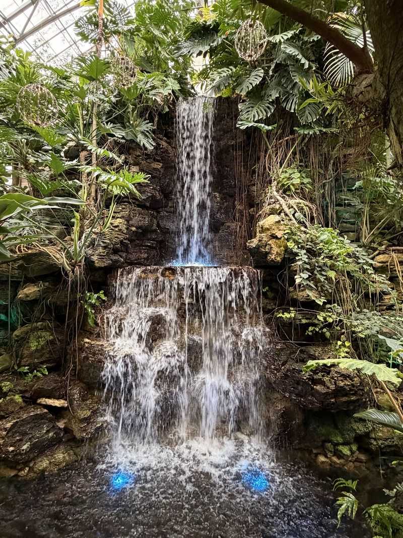Krohn Conservatory Offers A Tropical Winter Escape