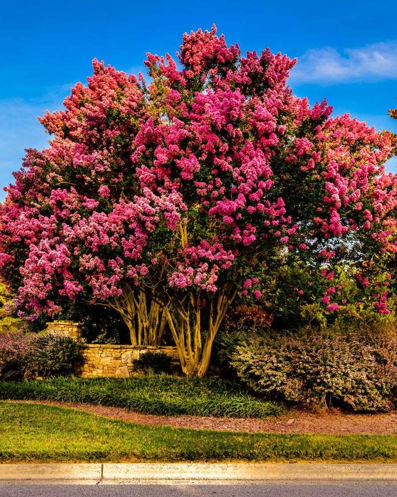 Large Varieties Outgrow Small Spaces