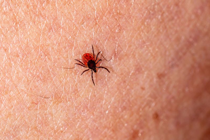 Late-Season Bites Get Overlooked Too Often Late-Season Bites Get Overlooked Too Often