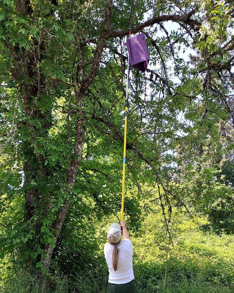 Late Spring Through Midsummer Trapping Season