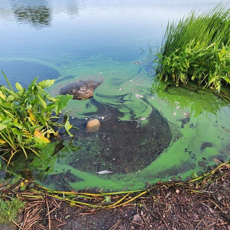 Late Summer Heat And Low Water Levels