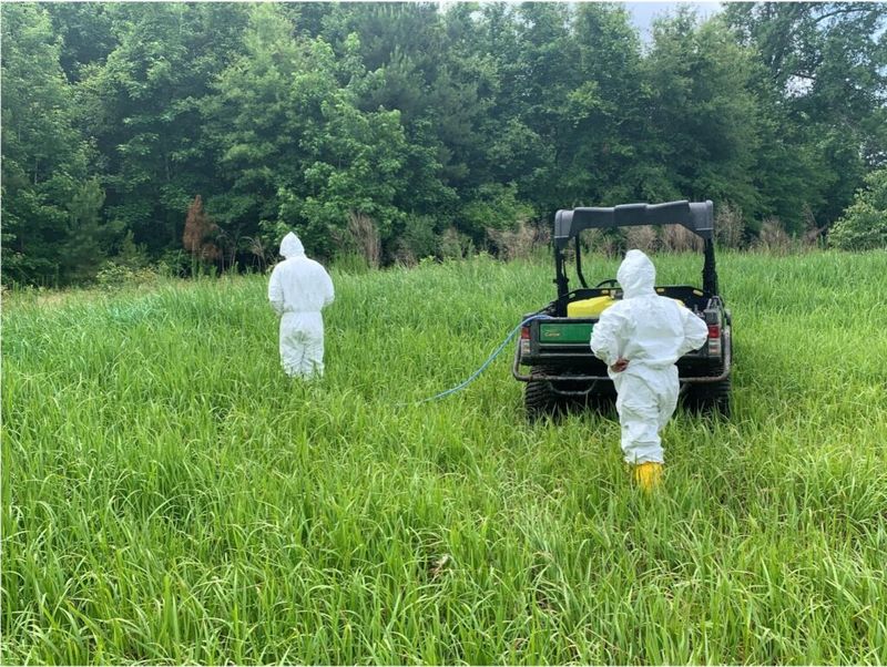 Late Summer Into Early Fall Is The Prime Spraying Season Late Summer Into Early Fall Is The Prime Spraying Season