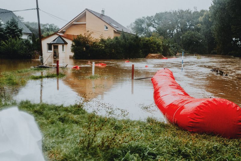 Late Summer Storms Flood Their Hideouts Late Summer Storms Flood Their Hideouts