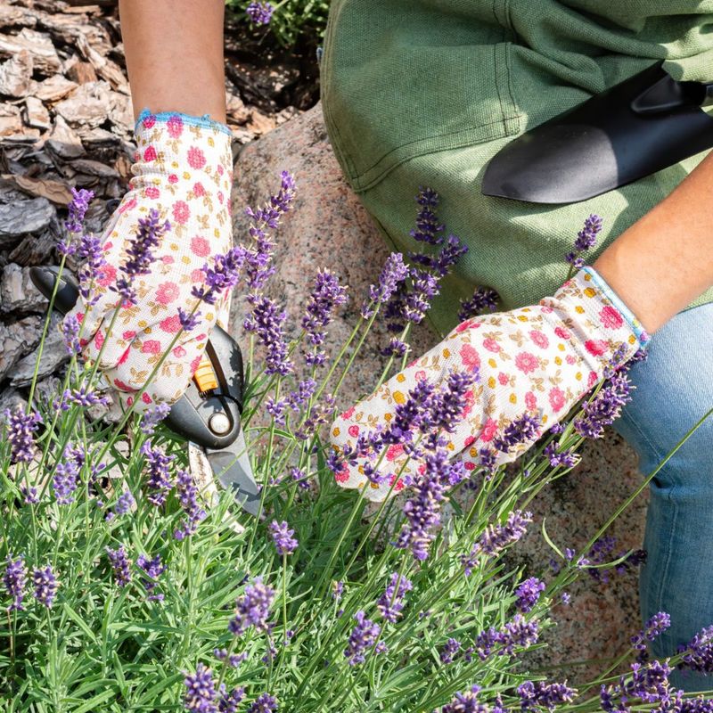 Lavender Adds Another Strong-Smelling Plant