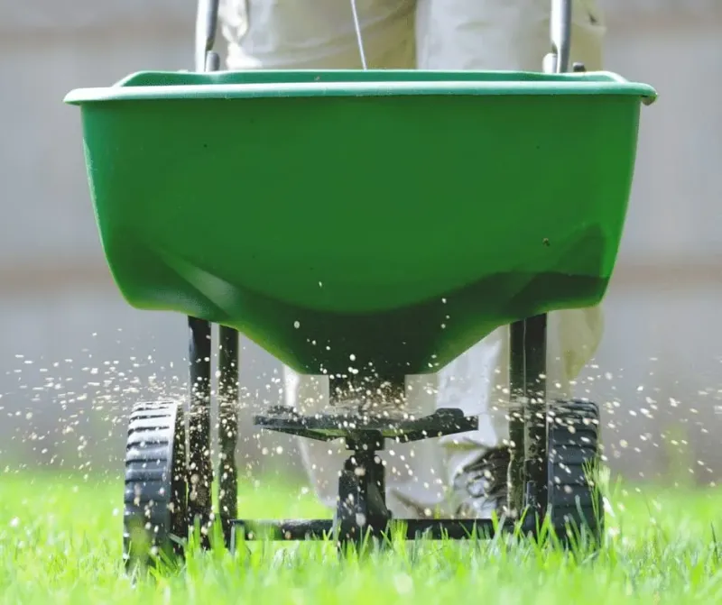Lawn Chemicals Reach The Larvae Underground