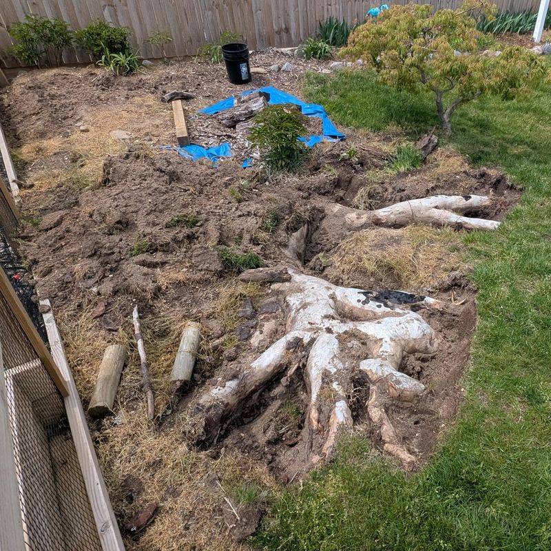 Lawn Habits That Discourage A Return Next Season Lawn Habits That Discourage A Return Next Season