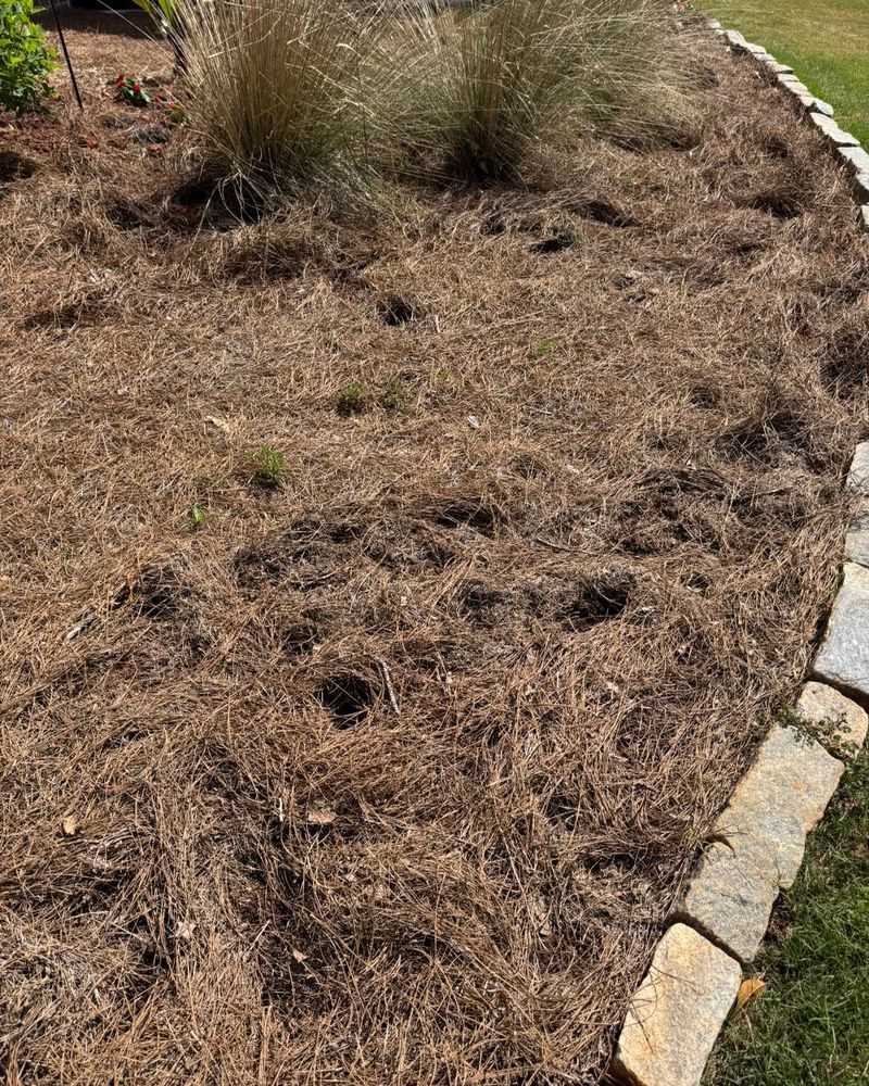 Lawns And Garden Beds Can Both Show Damage