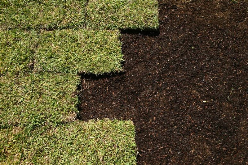 Lay Fresh Sod For Larger September Gaps