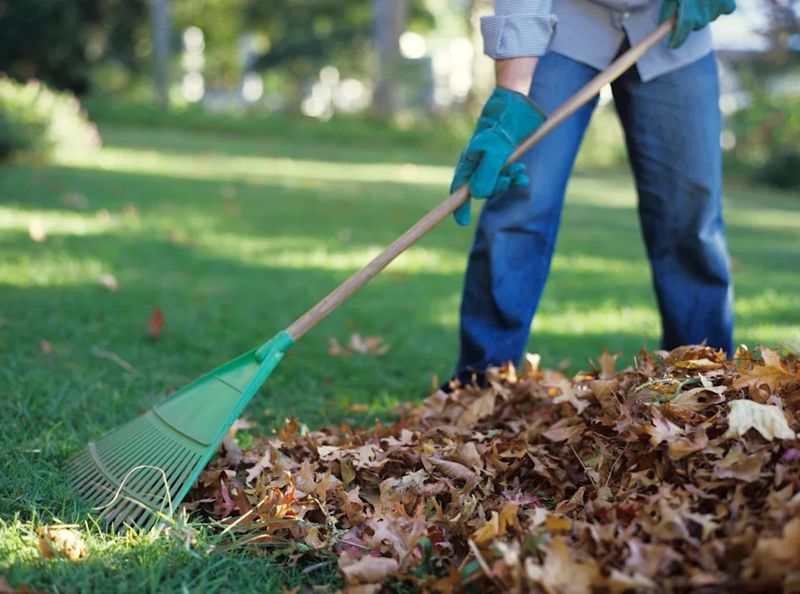 Leaf Cleanup Is Usually Your Responsibility Leaf Cleanup Is Usually Your Responsibility