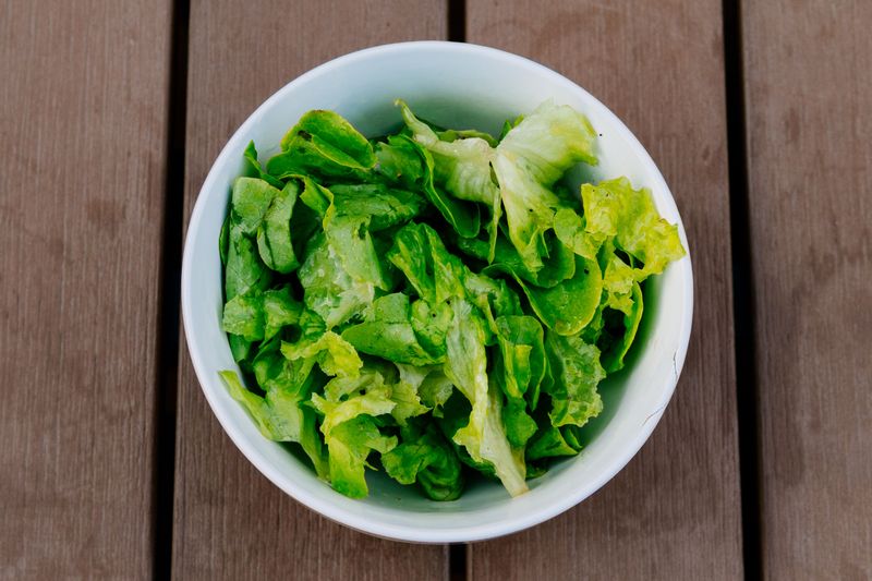 Leaf Lettuce For Quick Salad Bowls