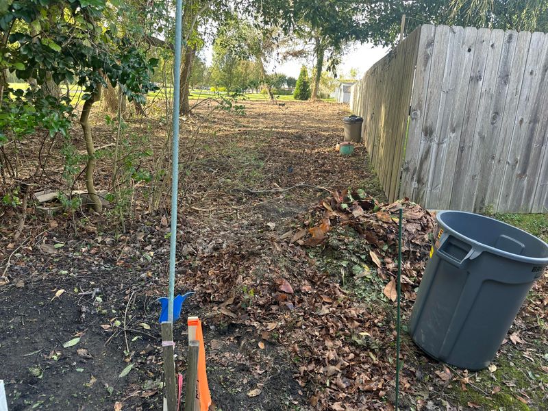 Leaf Litter And Brush Piles Give Them Cover Leaf Litter And Brush Piles Give Them Cover