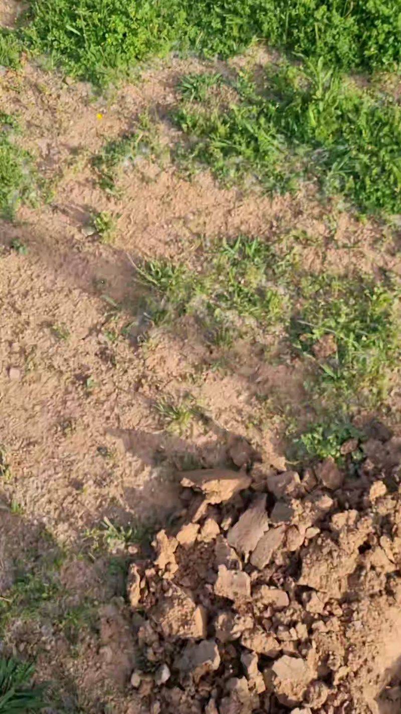 Leave Heavy Clay Rough Through Winter Leave Heavy Clay Rough Through Winter