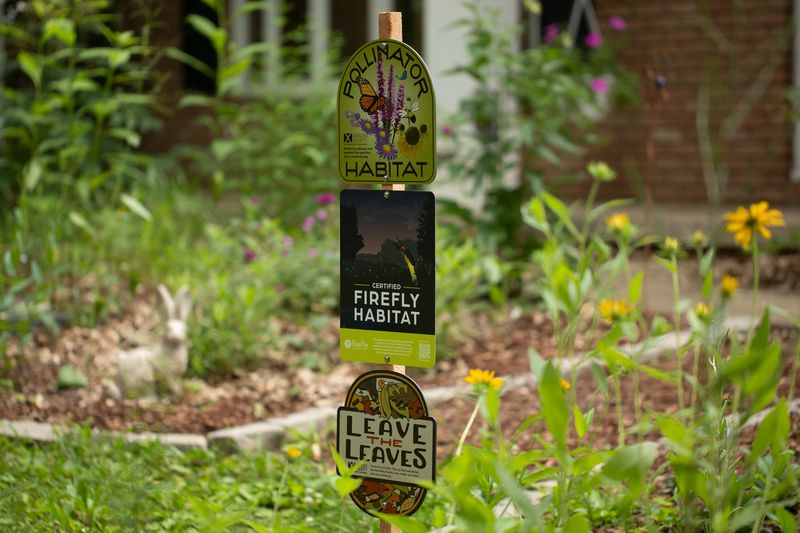 Leave One Corner Wild Instead Of Mowing Every Inch Leave One Corner Wild Instead Of Mowing Every Inch