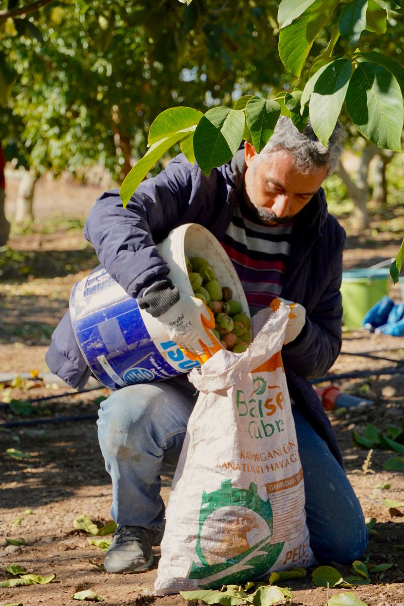 Leaves, Husks, And Sawdust Take Extra Patience