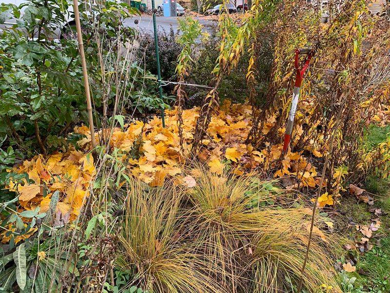 Leaves belong somewhere, but not everywhere