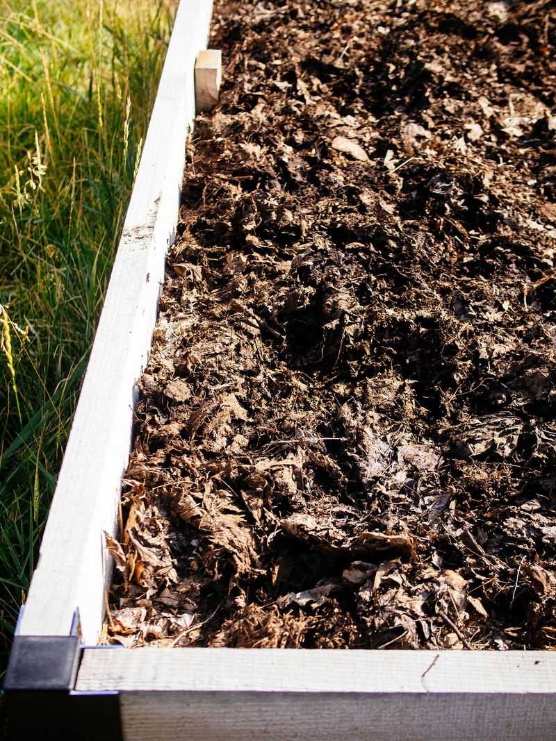 Leaves can protect soil as well as insects