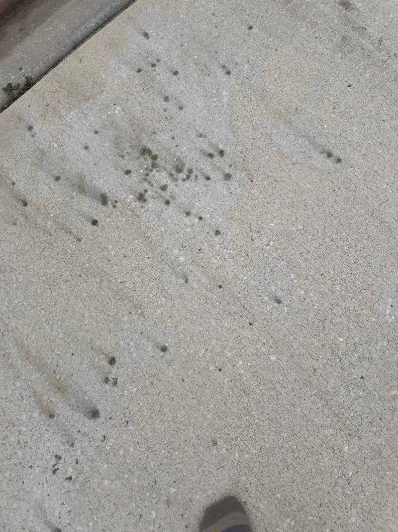 Leaving Granules On Driveways And Sidewalks